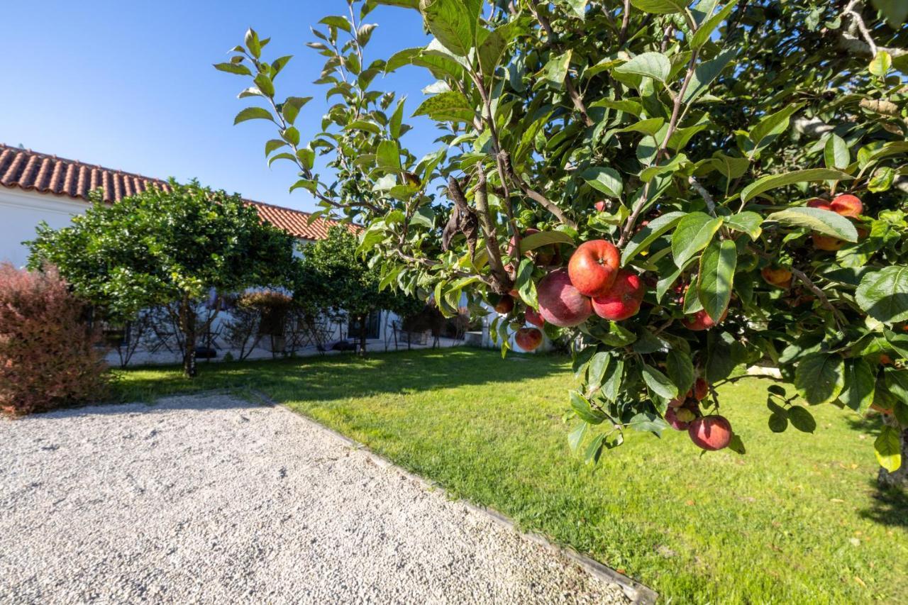 Casa Da Lagoa E Forja - Turismo Rural Mira  Extérieur photo